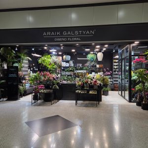 ARAIK GALSTYAN llega a Mataró Parc